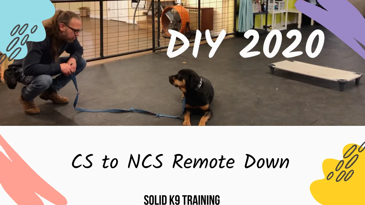 NEW DIY 2020 (patreon).png