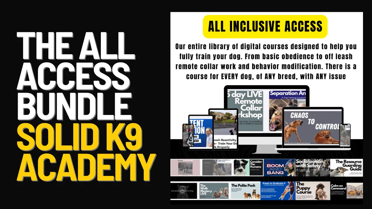 Promotional graphic for the