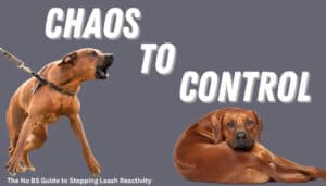 A split image showing a barking, aggressive dog on the left and a calm, relaxed dog on the right. The text reads "CHAOS TO CONTROL" with a subheading "The No BS Guide to Stopping Leash Reactivity—AUTO-DRAFT Edition.