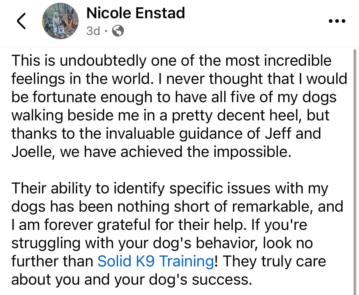 A social media post by Nicole Enstad expressing gratitude towards Solid K9 Training and trainers Jeff and Joelle for significant improvements in her dogs' behavior and success in achieving walking all five dogs together.
