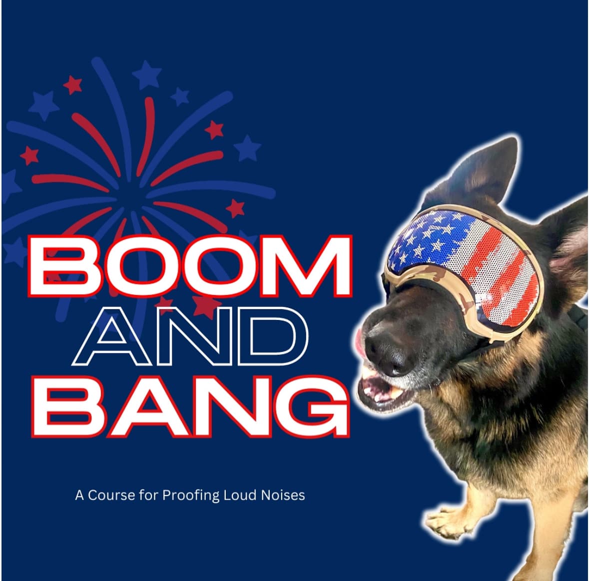 A German Shepherd wears American flag goggles next to the text "Boom and Bang" with a firework graphic; subtitle reads "A Course for Proofing Loud Noises.