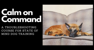 Image of a dog lying on a couch next to text that reads "Calm On Command.