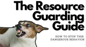 A dog showing its teeth with the text "The Resource Guarding Guide - How to Stop This Dangerous Behavior" in bold letters, focusing on effective resource management techniques.