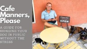 A person sits at an outdoor cafe table with two dogs resting nearby. The text reads, "How to Train Your Dog to Behave at a Cafe: A Guide for Bringing Your Dog in Public Without the Stress." Train your dog to behave at a cafe and enjoy a stress-free outing.