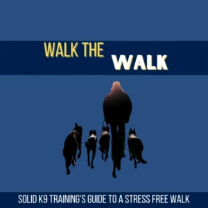 Promotional image for solid k9 training featuring a silhouette of a person walking four dogs under the text "Walk the Walk" and a subtitle "Walk the Walk - Learn to walk your dog without pulling or lunging.