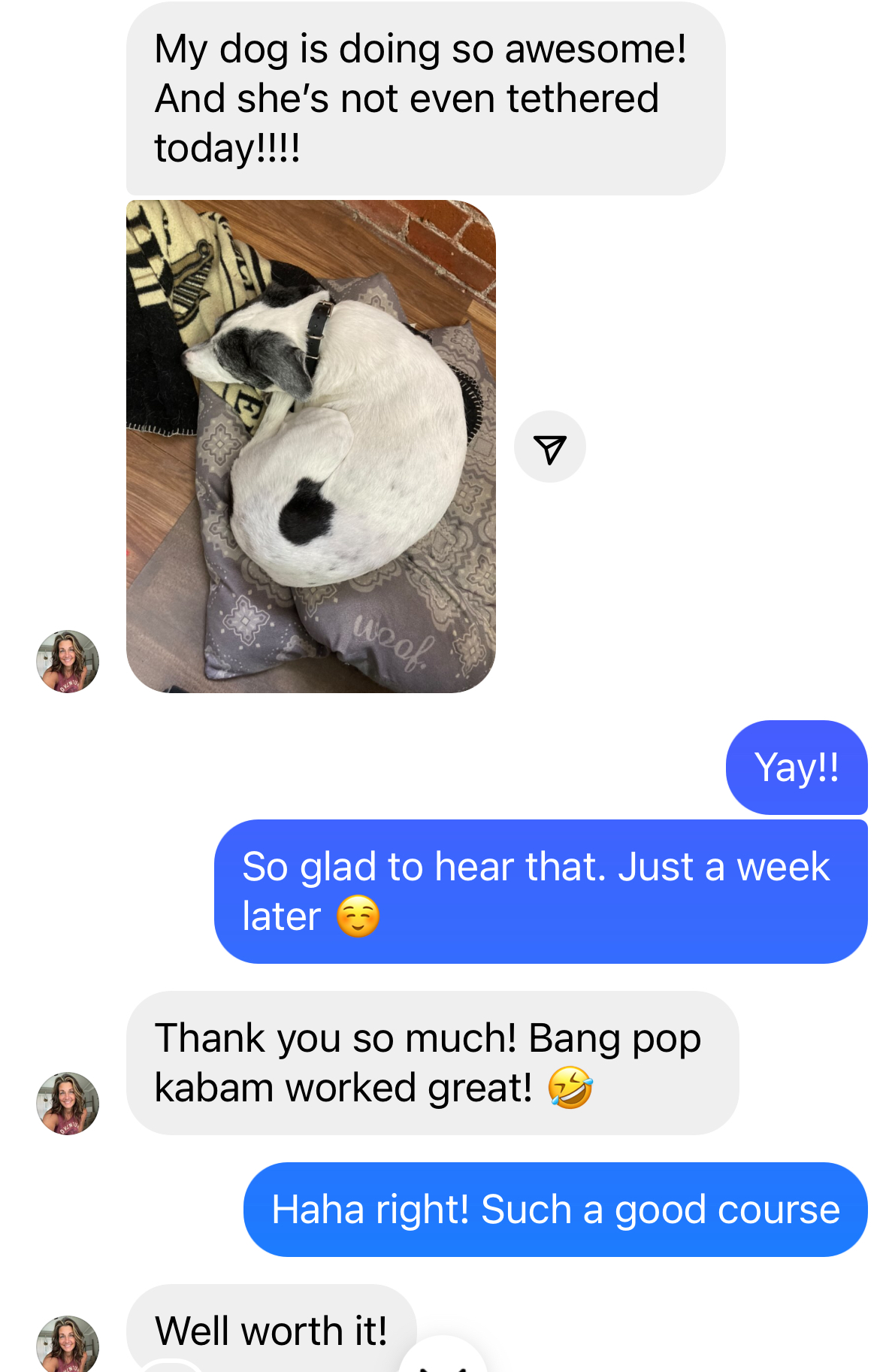A text exchange where one person shares a photo of their dog sleeping on a blanket, and they discuss the dog's progress in a course, with enthusiastic and positive replies.